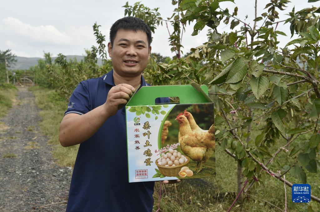 大白菜送彩金